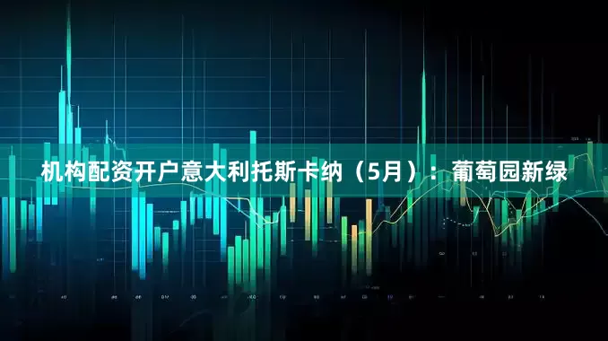 机构配资开户意大利托斯卡纳（5月）：葡萄园新绿