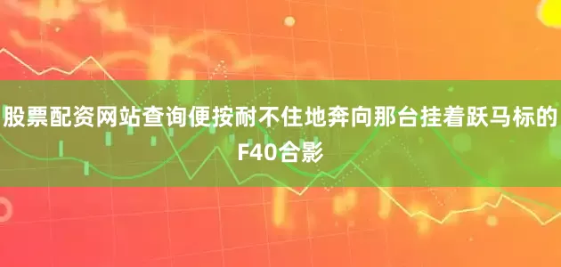 股票配资网站查询便按耐不住地奔向那台挂着跃马标的F40合影