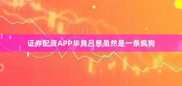 证券配资APP毕竟吕慈虽然是一条疯狗