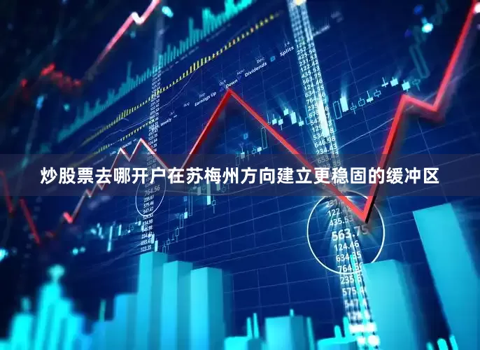 炒股票去哪开户在苏梅州方向建立更稳固的缓冲区