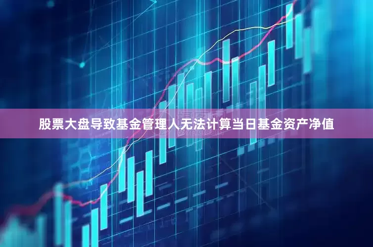 股票大盘导致基金管理人无法计算当日基金资产净值