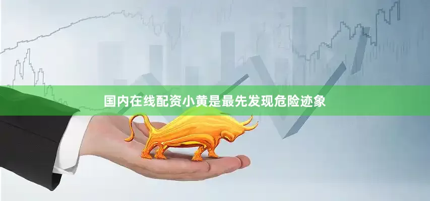 国内在线配资小黄是最先发现危险迹象