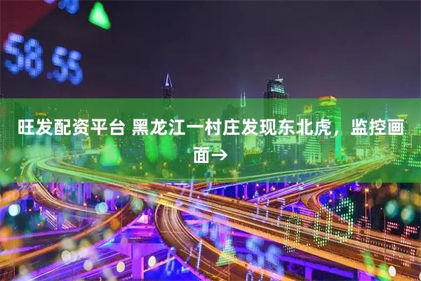 旺发配资平台 黑龙江一村庄发现东北虎，监控画面→