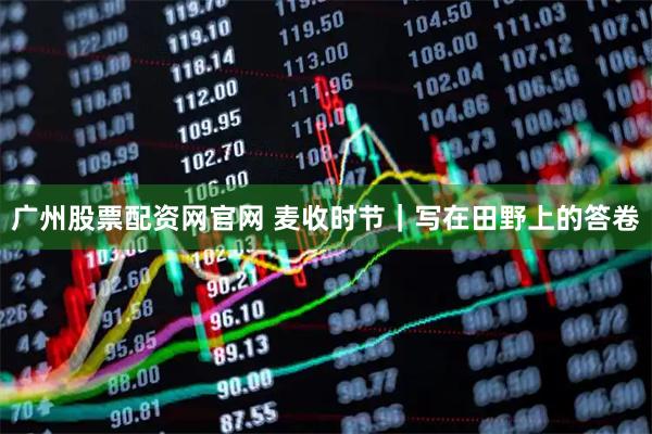 广州股票配资网官网 麦收时节｜写在田野上的答卷
