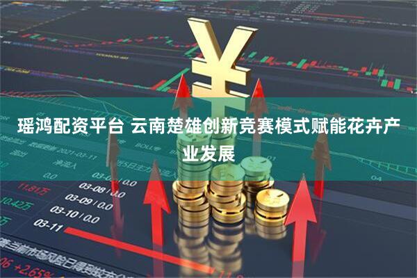 瑶鸿配资平台 云南楚雄创新竞赛模式赋能花卉产业发展